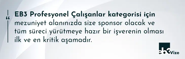 eb3 profesyonel çalışanlar kategorisi nedir